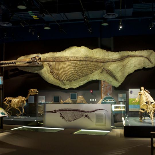 Nevada State Museum, Las Vegas