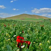 Azerbejdżan Zachodni