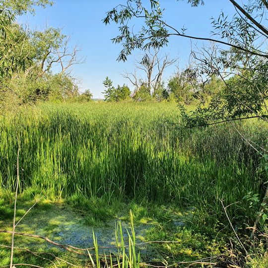 Lehmgeide Großzschepa