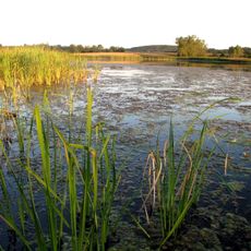 Smilovska lakes