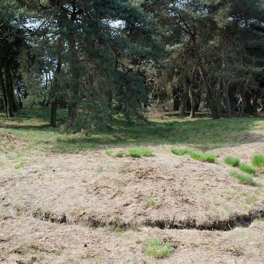 Urnfield Boshoverheide