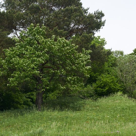 Hölzle beim Sonnenberg