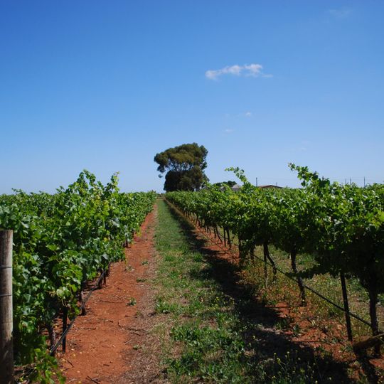 Coonawarra