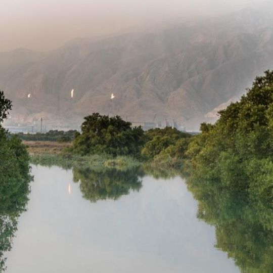 Nayband National Marine Park