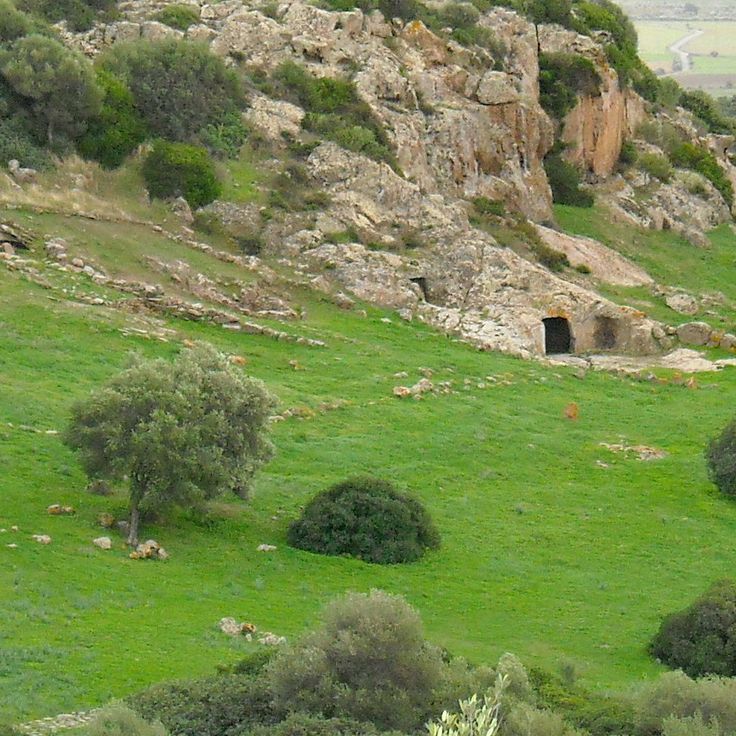 Domus de Janas of Montessu