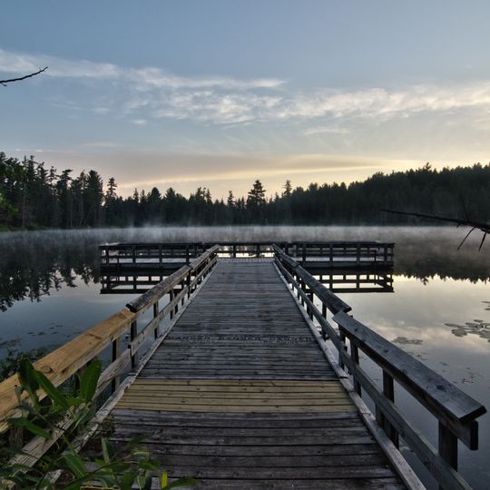 Hartwick Pines State Park