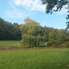 Braubachtal bei Hornau