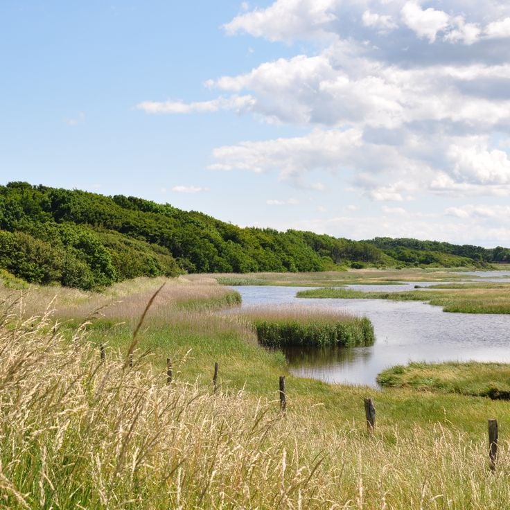 Naturreservatet Geltinger Birk