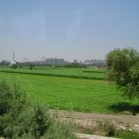 Kahire