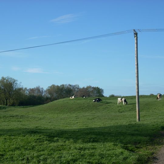 King's Court Palace moated site