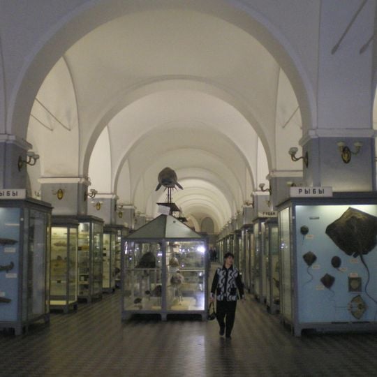 Zoologisches Museum Sankt Petersburg