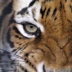 Baton Rouge Zoo