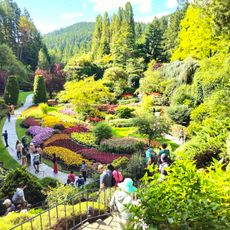 The Butchart Gardens