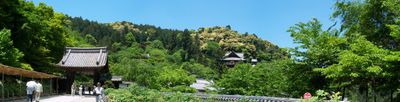 Panoramic View 1