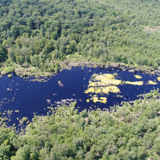 Tourbière De La Grande Pile