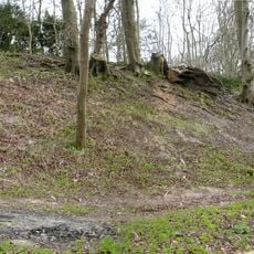 Vespasian's Camp
