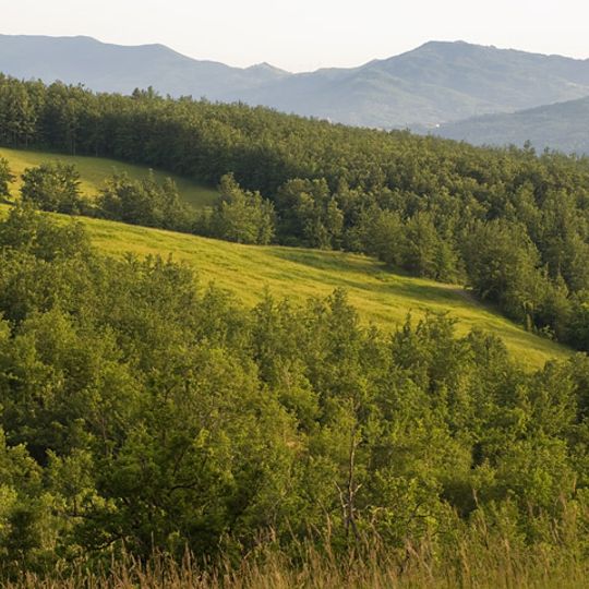 Nature Reserve of Ghirardi
