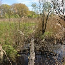Naturschutzgebiet 'Weichser Moos'