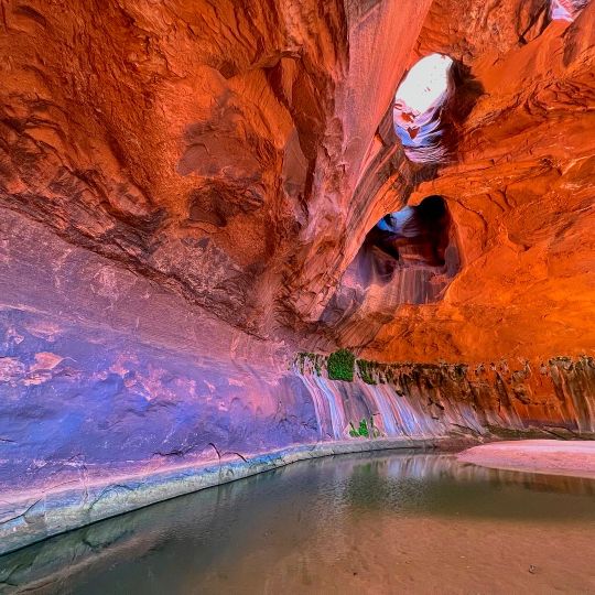 The Golden Cathedral