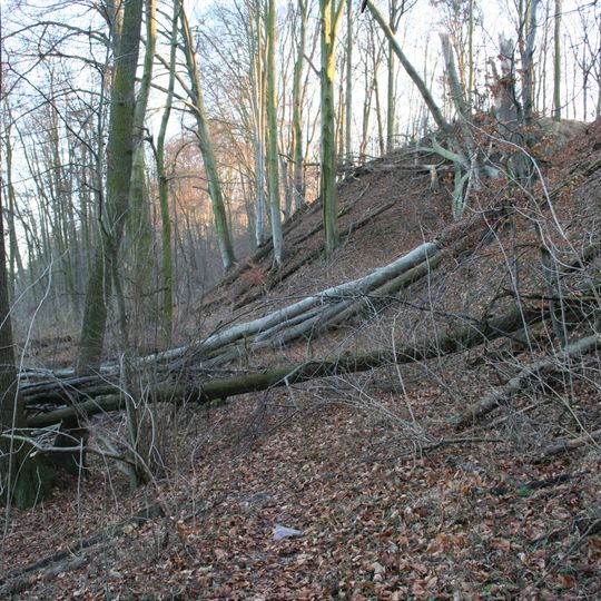 Nature reserve Buki nad jeziorem Lutomskim