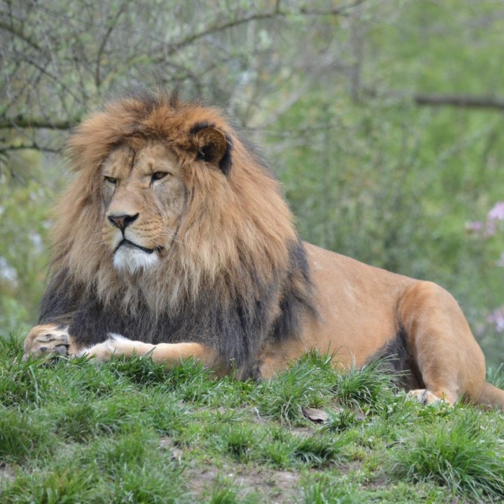 Plzeň Zoo