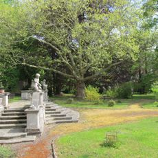 Skupina 9 ks listnatých stromů v zámecké zahradě ve Vidimi