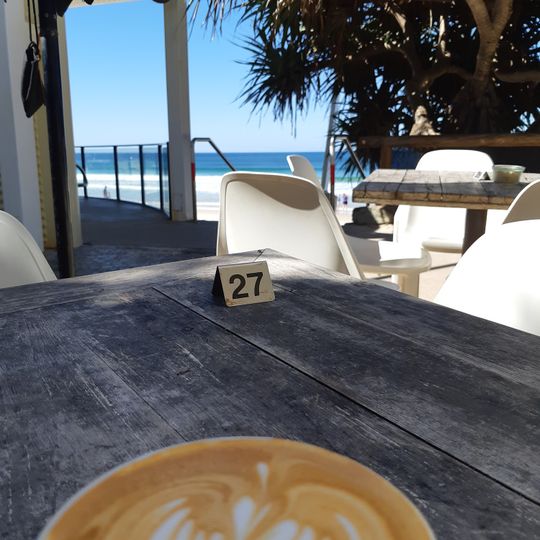 Coffee Cat On Kings Beach