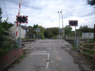 Immagine alternativa