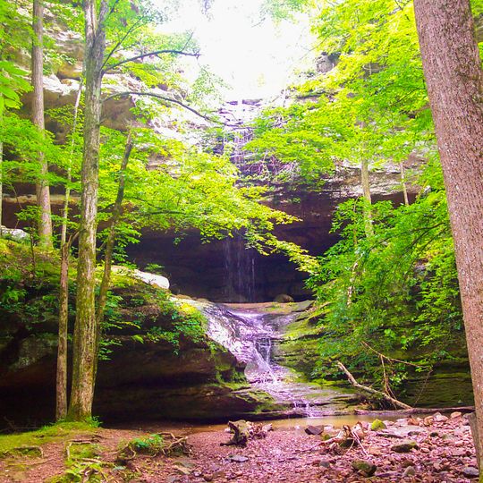 Ferne Clyffe State Park
