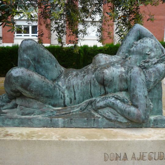 Dona ajaguda