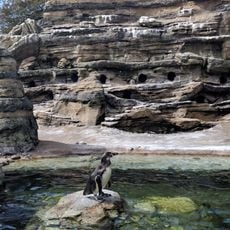 Woodland Park Zoo