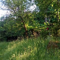 Kříž východně od Nového Mnichu