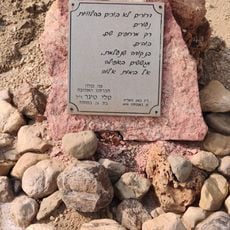 טלי טיגר