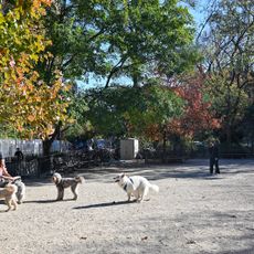 Tompkins Square Dog Run