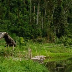 Parco nazionale di Manu