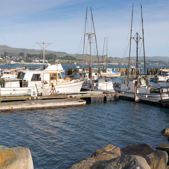 Bodega Harbor