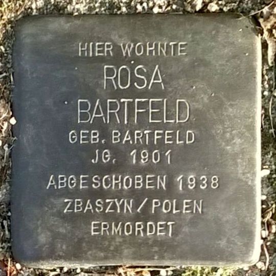 Stolperstein en memoria de Rosa Bartfeld