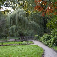 Park pałacowy w Śmiełowie