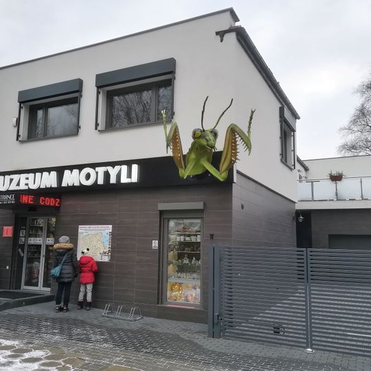 Butterfly Museum in Łeba