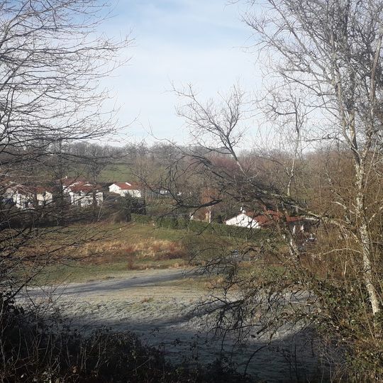 The Branviel Forest