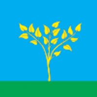 Vyalkovskoye rural settlement