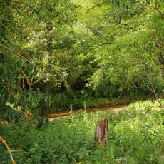 NÖ-Naturdenkmal GD-140 Storchenwiesen und Auwaldzellen Großdietmanns