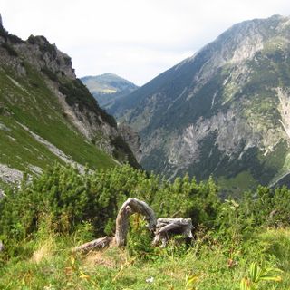 Schutz von Landschaftsteilen im Bereich der Allgäuer Hochalpenkette mit Einschluß der Oberstdorfer Täler und des Hintersteiner Tales im Landkreis Oberallgäu