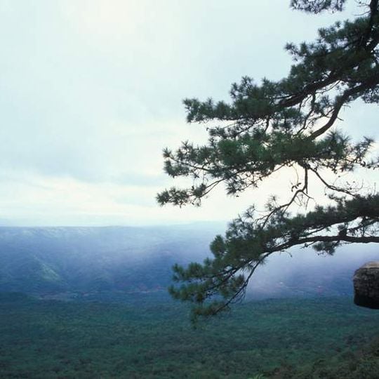 Parc national de Phu Kradung