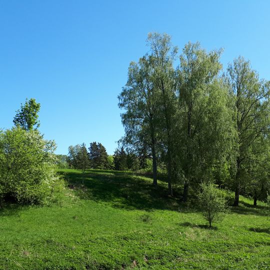 Kalnaziedu pilskalns