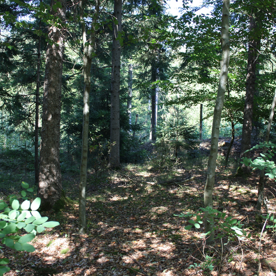 Keltische Viereckschanze