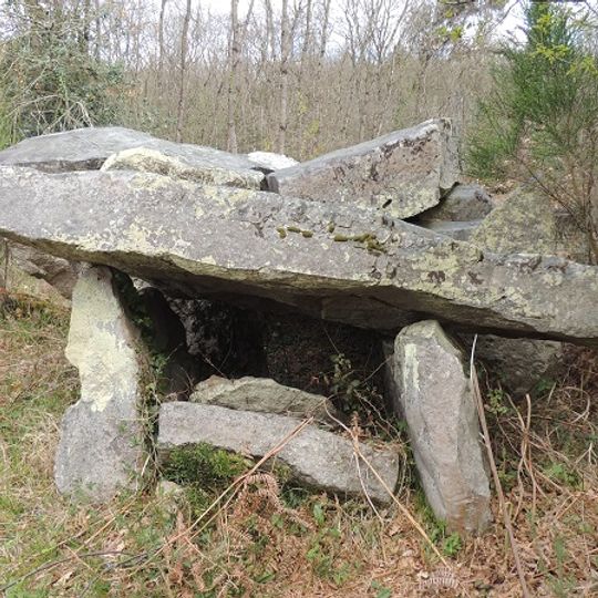 Dolmen du Bois de la Pidoucière