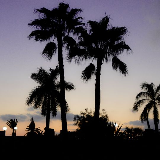 Gamasa