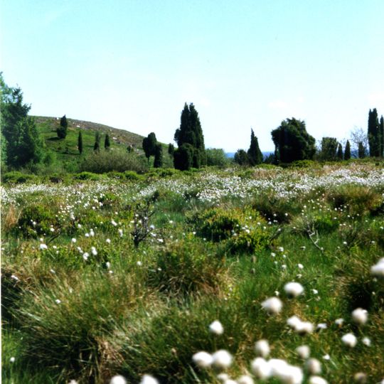 Björsåkra-Bölinge