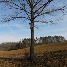 14. zastavení křížové cesty Ondřejov - Kaliště